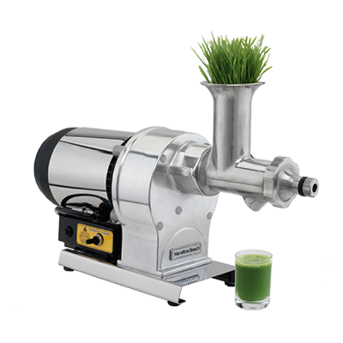 Hamilton Beach HWG800 Wheat Grass Juicer Countertop 12 Inch High Torque Motor 304 Stainless Steel Includes Stomper